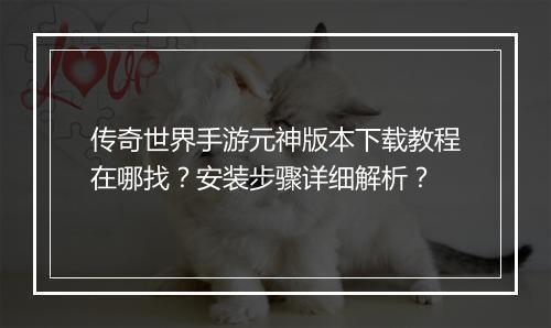 传奇世界手游元神版本下载教程在哪找？安装步骤详细解析？