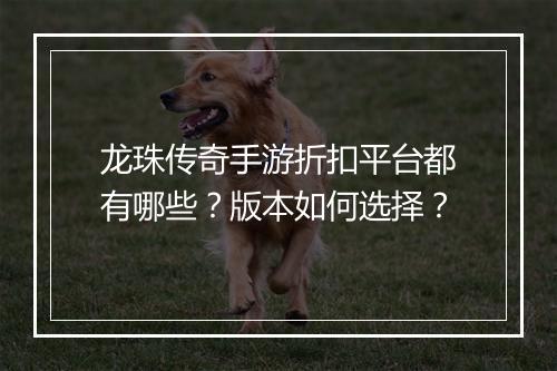 龙珠传奇手游折扣平台都有哪些？版本如何选择？