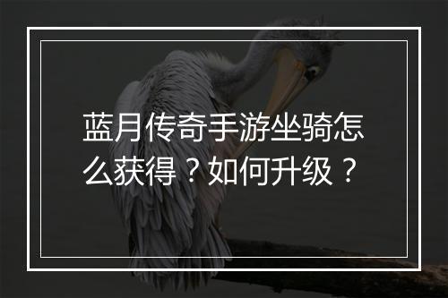蓝月传奇手游坐骑怎么获得？如何升级？