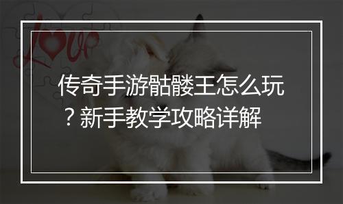 传奇手游骷髅王怎么玩？新手教学攻略详解