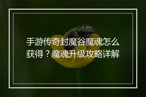 手游传奇封魔谷魔魂怎么获得？魔魂升级攻略详解