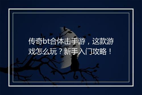 传奇bt合体击手游，这款游戏怎么玩？新手入门攻略！