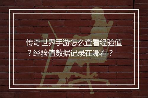 传奇世界手游怎么查看经验值？经验值数据记录在哪看？
