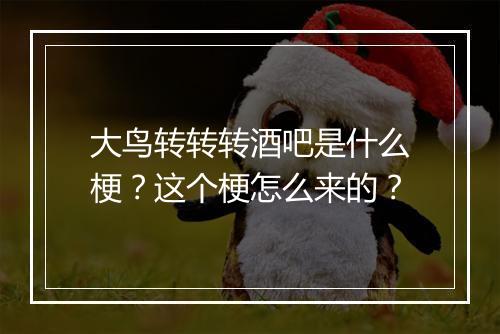 大鸟转转转酒吧是什么梗？这个梗怎么来的？