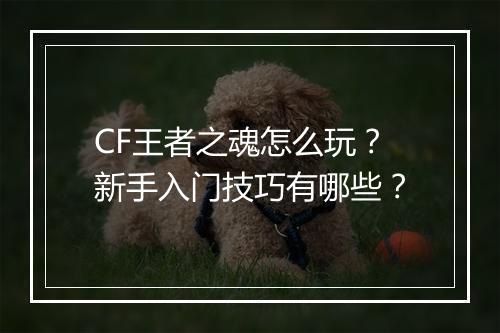 CF王者之魂怎么玩？新手入门技巧有哪些？