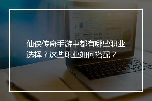 仙侠传奇手游中都有哪些职业选择？这些职业如何搭配？