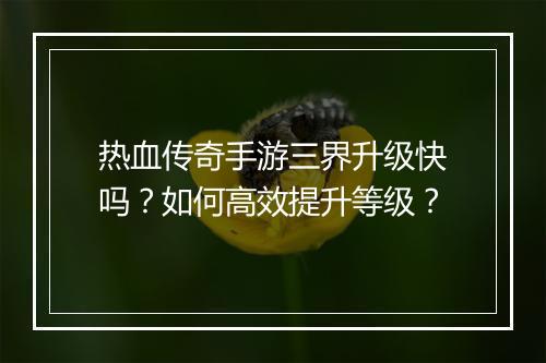 热血传奇手游三界升级快吗？如何高效提升等级？