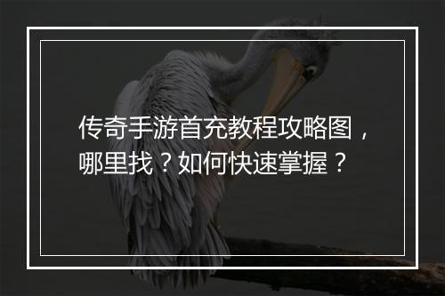 传奇手游首充教程攻略图，哪里找？如何快速掌握？