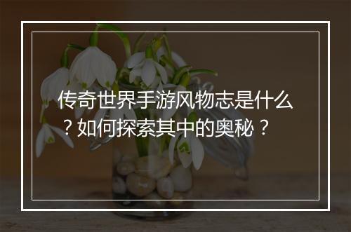 传奇世界手游风物志是什么？如何探索其中的奥秘？