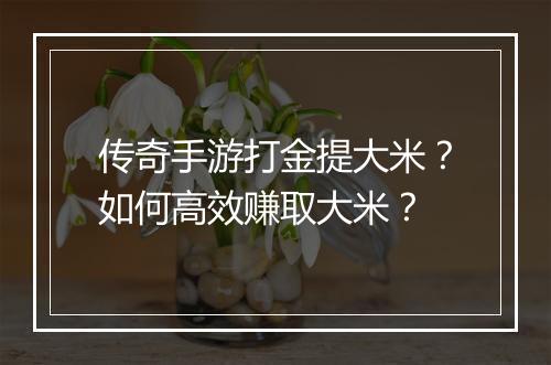 传奇手游打金提大米？如何高效赚取大米？