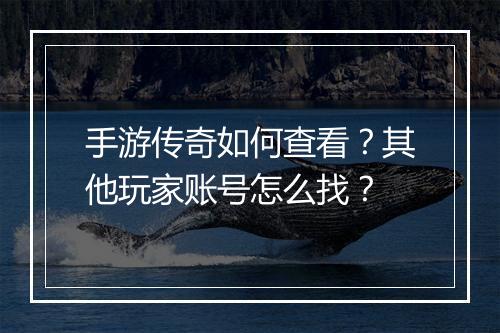 手游传奇如何查看？其他玩家账号怎么找？