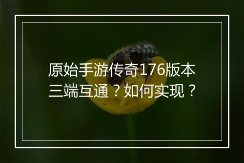 原始手游传奇176版本三端互通？如何实现？