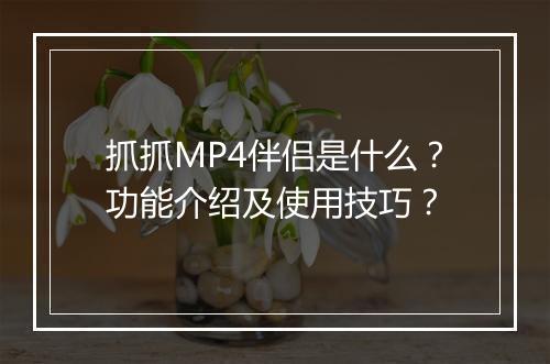 抓抓MP4伴侣是什么？功能介绍及使用技巧？