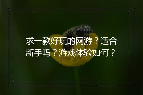 求一款好玩的网游？适合新手吗？游戏体验如何？