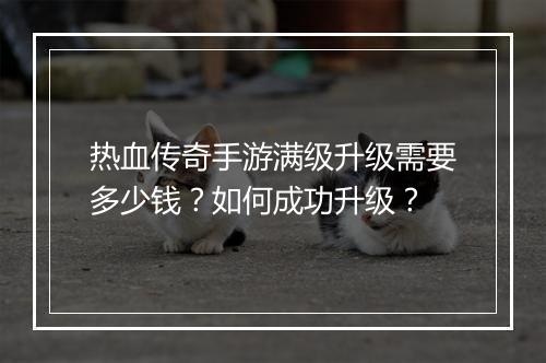 热血传奇手游满级升级需要多少钱？如何成功升级？