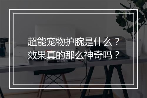 超能宠物护腕是什么?效果真的那么神奇吗?