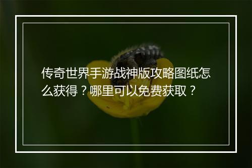 传奇世界手游战神版攻略图纸怎么获得？哪里可以免费获取？