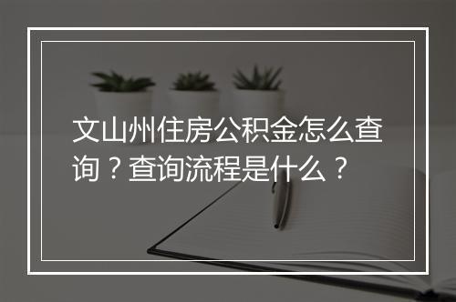 文山州住房公积金怎么查询？查询流程是什么？