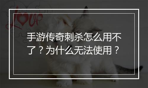 手游传奇刺杀怎么用不了？为什么无法使用？
