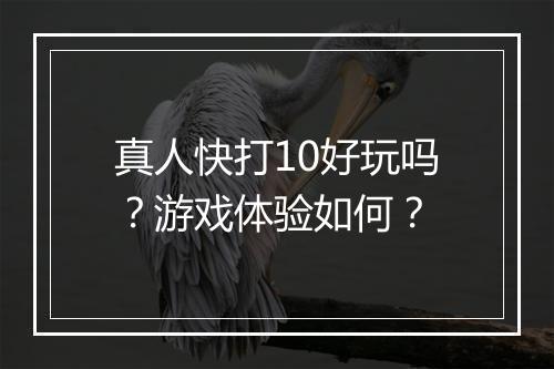 真人快打10好玩吗？游戏体验如何？