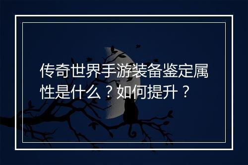 传奇世界手游装备鉴定属性是什么？如何提升？