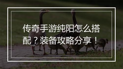 传奇手游纯阳怎么搭配？装备攻略分享！