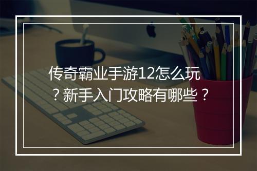 传奇霸业手游12怎么玩？新手入门攻略有哪些？