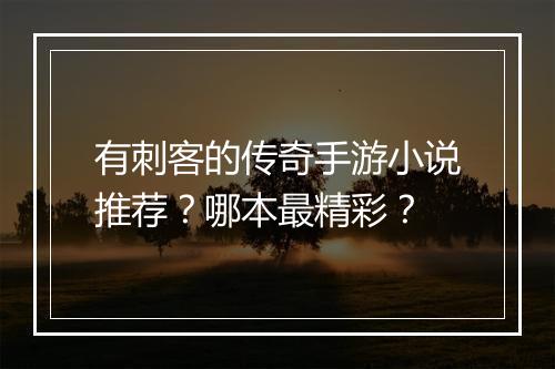 有刺客的传奇手游小说推荐？哪本最精彩？