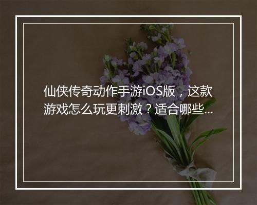 仙侠传奇动作手游iOS版，这款游戏怎么玩更刺激？适合哪些玩家？