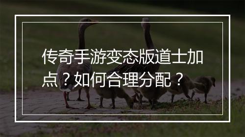 传奇手游变态版道士加点？如何合理分配？