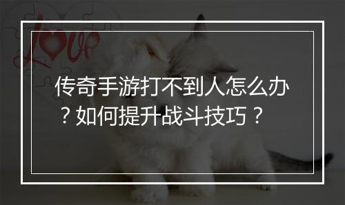 传奇手游打不到人怎么办？如何提升战斗技巧？