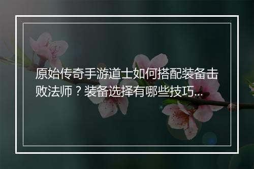 原始传奇手游道士如何搭配装备击败法师？装备选择有哪些技巧？