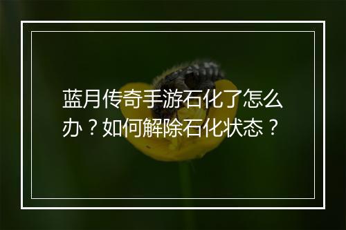 蓝月传奇手游石化了怎么办？如何解除石化状态？