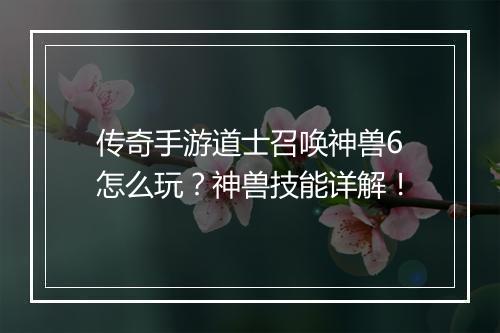 传奇手游道士召唤神兽6怎么玩？神兽技能详解！