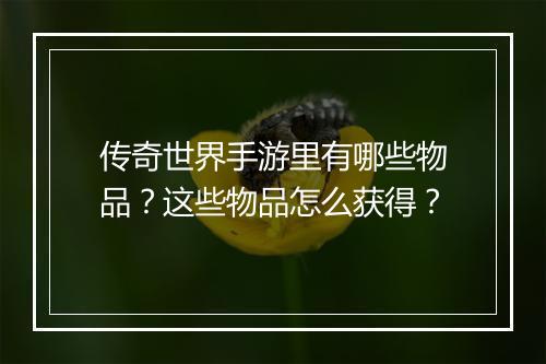 传奇世界手游里有哪些物品？这些物品怎么获得？