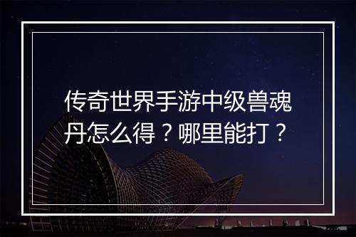 传奇世界手游中级兽魂丹怎么得？哪里能打？