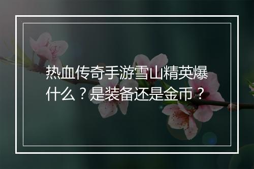 热血传奇手游雪山精英爆什么？是装备还是金币？