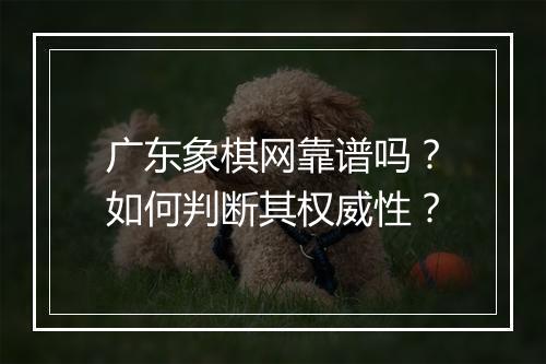 广东象棋网靠谱吗？如何判断其权威性？