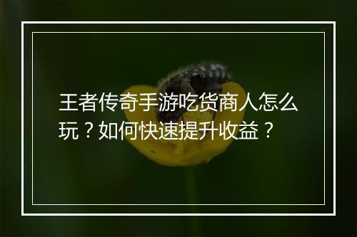 王者传奇手游吃货商人怎么玩？如何快速提升收益？