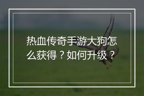 热血传奇手游大狗怎么获得？如何升级？