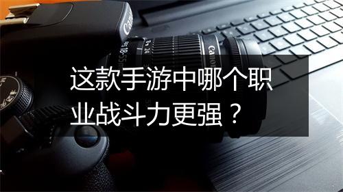 这款手游中哪个职业战斗力更强？