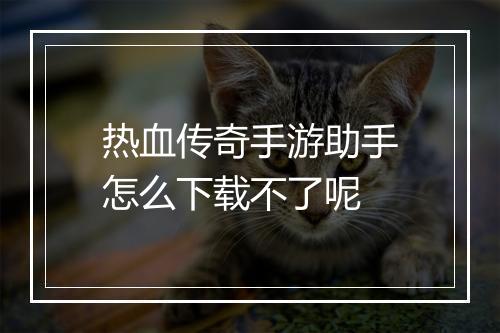 热血传奇手游助手怎么下载不了呢