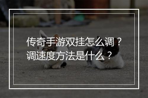 传奇手游双挂怎么调？调速度方法是什么？