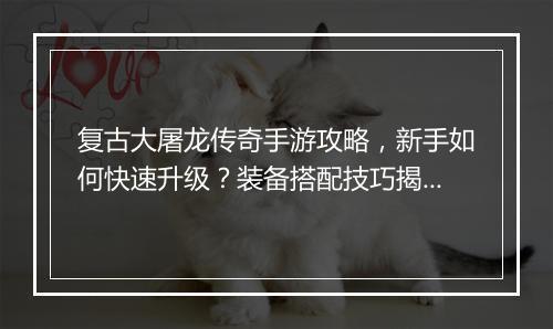 复古大屠龙传奇手游攻略，新手如何快速升级？装备搭配技巧揭秘