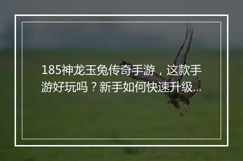 185神龙玉兔传奇手游，这款手游好玩吗？新手如何快速升级？