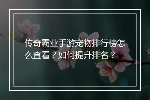 传奇霸业手游宠物排行榜怎么查看？如何提升排名？