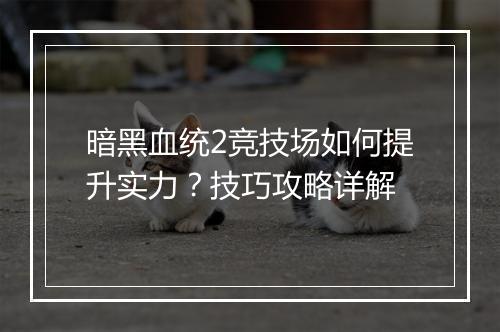暗黑血统2竞技场如何提升实力？技巧攻略详解