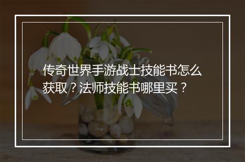 传奇世界手游战士技能书怎么获取？法师技能书哪里买？