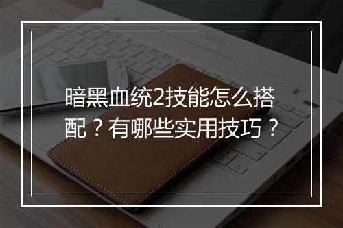 暗黑血统2技能怎么搭配？有哪些实用技巧？