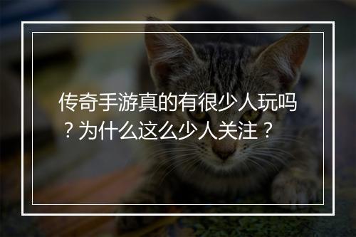 传奇手游真的有很少人玩吗？为什么这么少人关注？